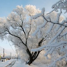 Схема вышивки «№368550»