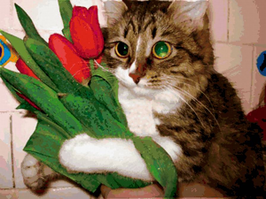 И это всё мне??? - предпросмотр