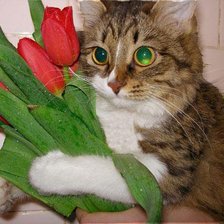 И это всё мне???