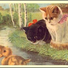 Под присмотром