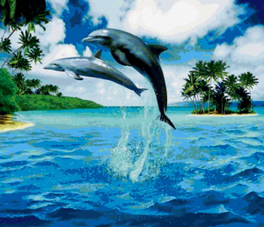 Дельфины - предпросмотр