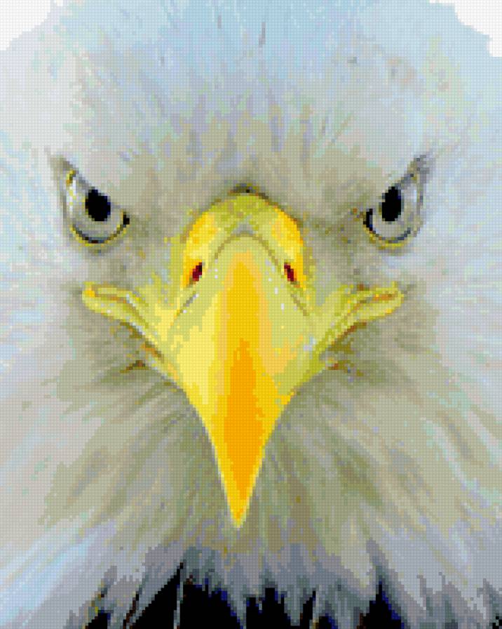 145 - птицы, подушка - предпросмотр