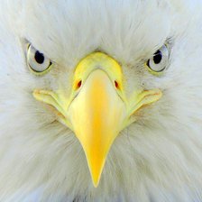 Схема вышивки «145»