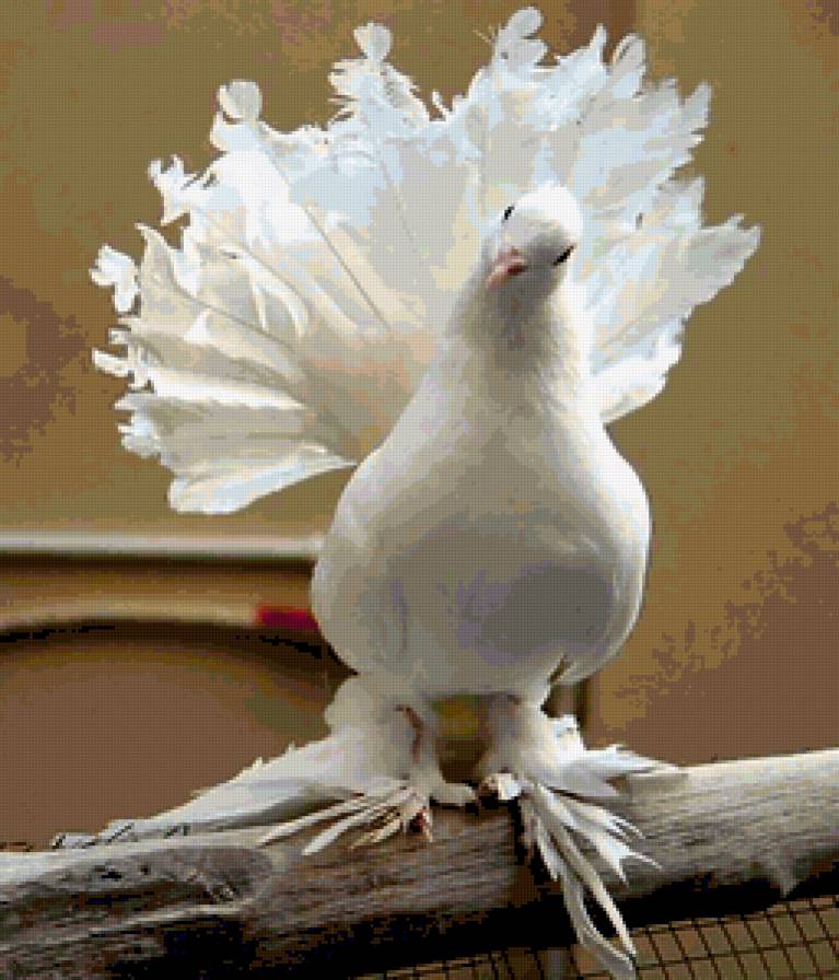 №368638 - предпросмотр