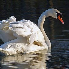 Схема вышивки «№368671»