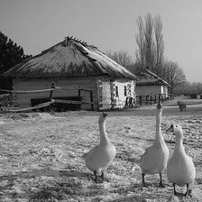 Схема вышивки «№368678»