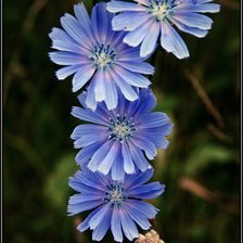 Схема вышивки «№368680»