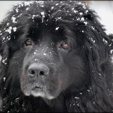 Схема вышивки «№368681»