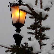 Схема вышивки «№368689»