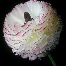 Схема вышивки «№368694»