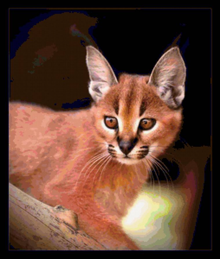 №368696 - предпросмотр