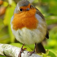 Схема вышивки «№368698»