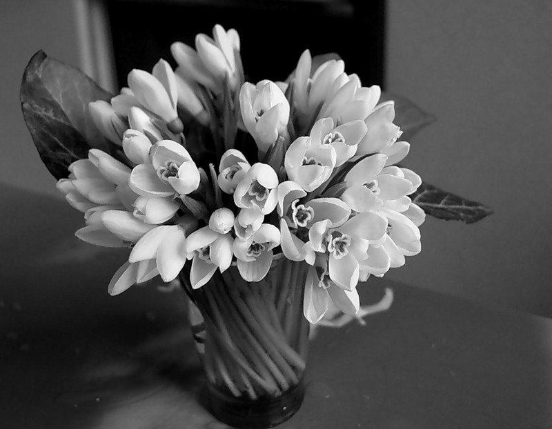 №368699 - оригинал