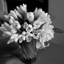 Схема вышивки «№368699»