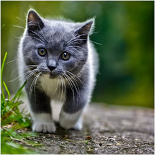 Схема вышивки «№368707»