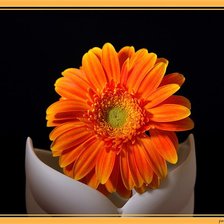 Схема вышивки «№368714»