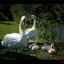 Схема вышивки «№368720»