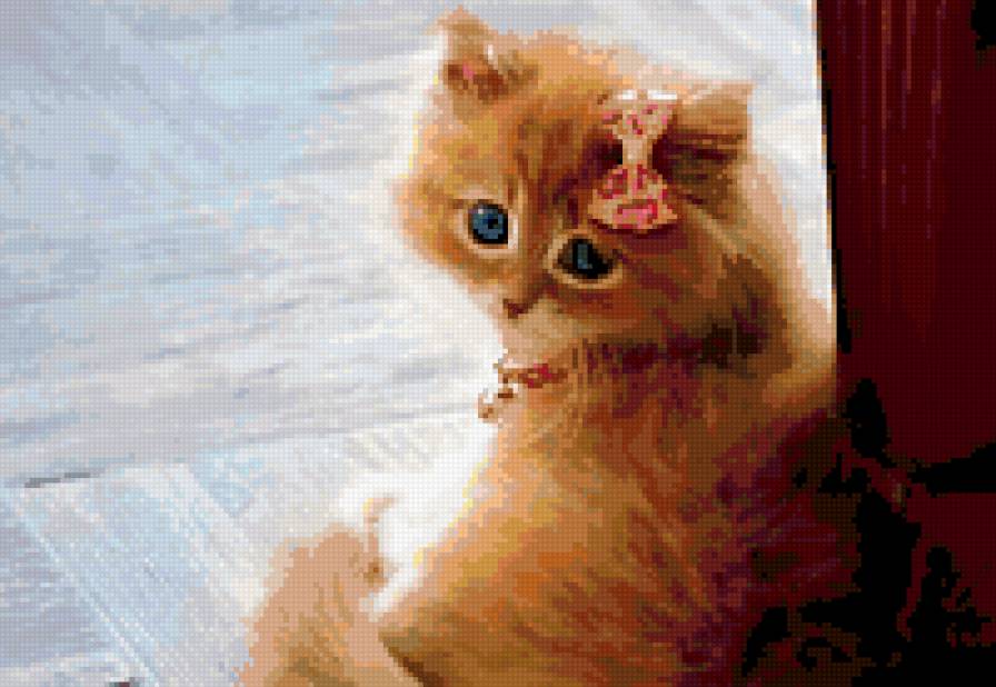 куисуля - предпросмотр