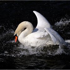 Схема вышивки «№368740»