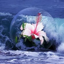 Схема вышивки «Большие капли красоты»