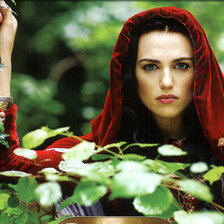 Схема вышивки «Моргана»