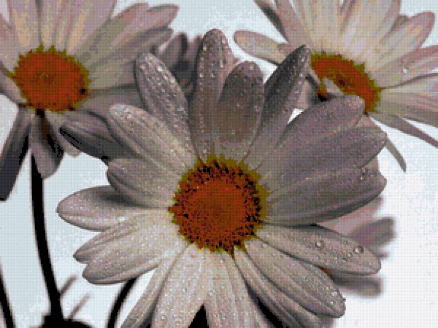 №368853 - предпросмотр