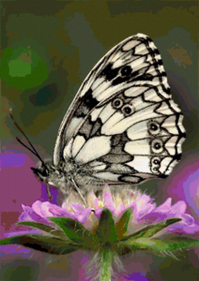 №368854 - предпросмотр