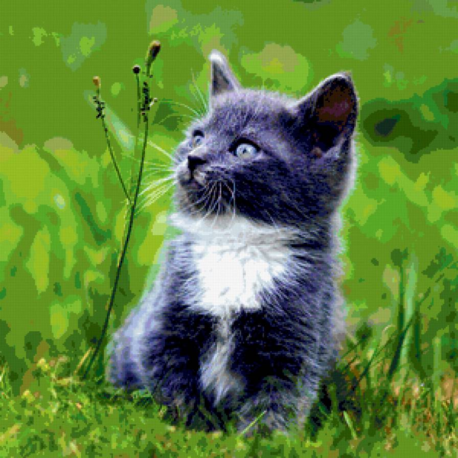 №368887 - предпросмотр