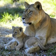 Схема вышивки «№368890»