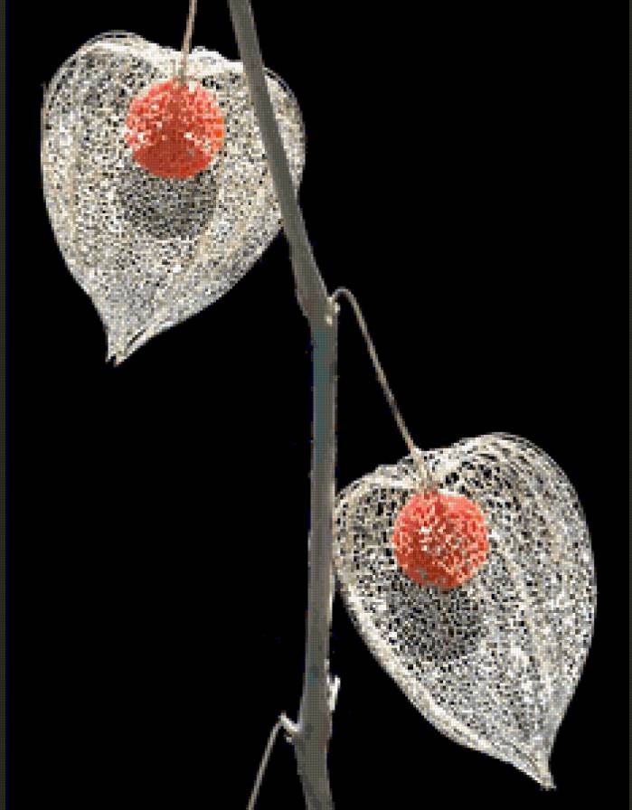 №368911 - предпросмотр