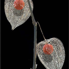 Схема вышивки «№368911»