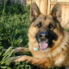 Схема вышивки «№368977»