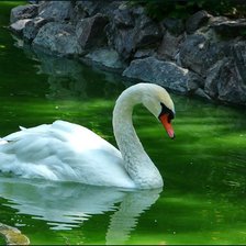 Схема вышивки «№369034»