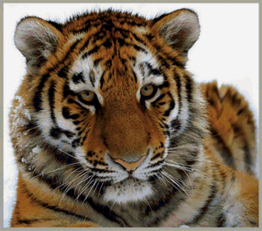 №369036 - предпросмотр