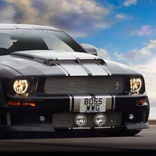 Схема вышивки «Мустанг»