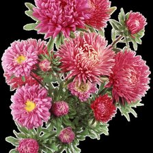 Схема вышивки «№369090»