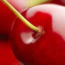 Схема вышивки «Вишня»