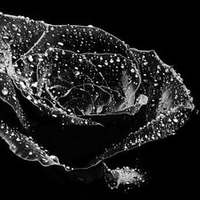 Схема вышивки «Чёрная роза»