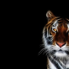 Схема вышивки «Тигр»