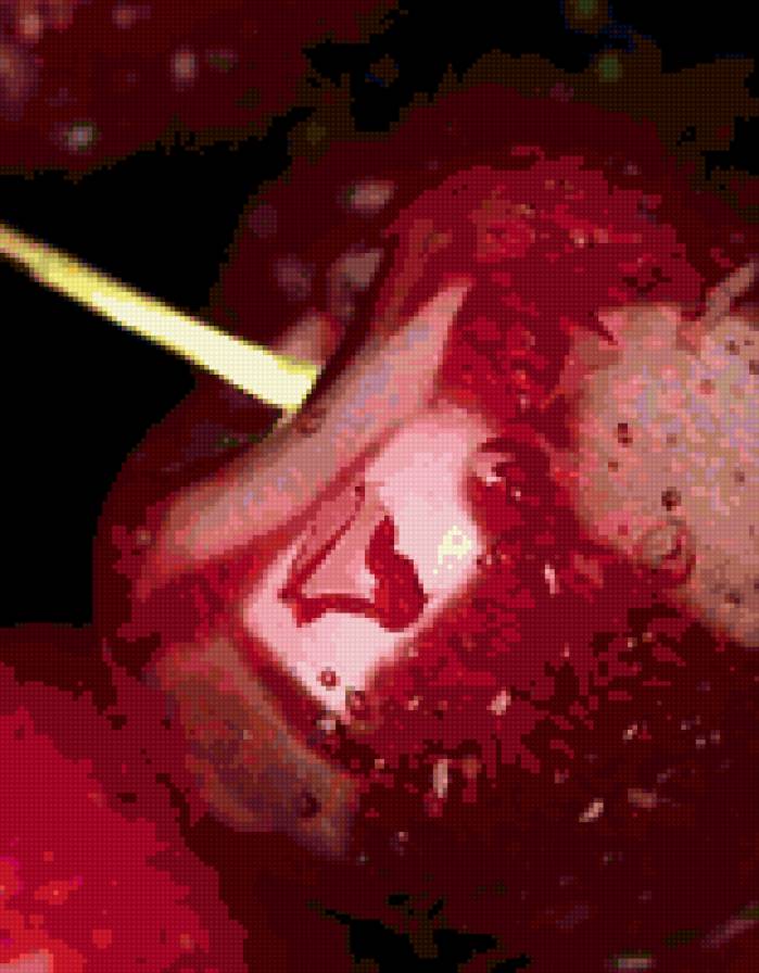 Вишня - фрукты - предпросмотр