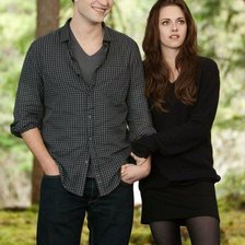 Схема вышивки «Эдвард и Белла»