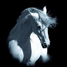 Схема вышивки «Лошадь»