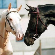 Схема вышивки «кони»