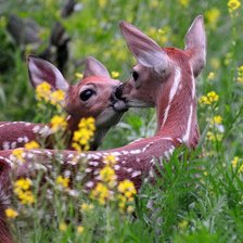 Схема вышивки «№369535»