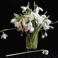 Схема вышивки «№369587»