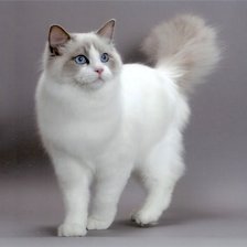 Схема вышивки «№369590»