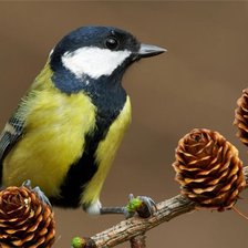 Схема вышивки «№369622»