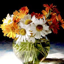 Схема вышивки «№369623»