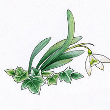 Схема вышивки «№369627»