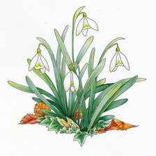 Схема вышивки «№369632»